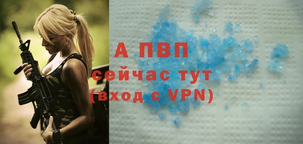 PSILOCYBIN Инта