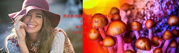 гашик Абаза