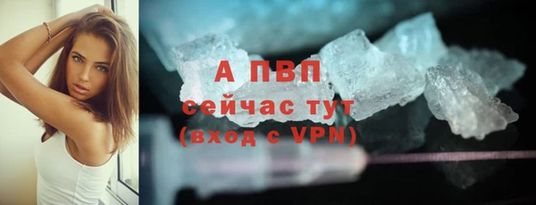 гашик Абаза
