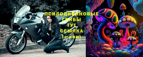 гашик Абаза