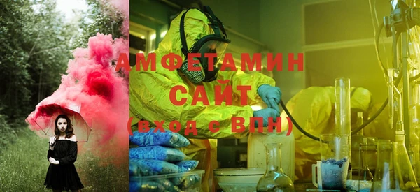сатива Абинск