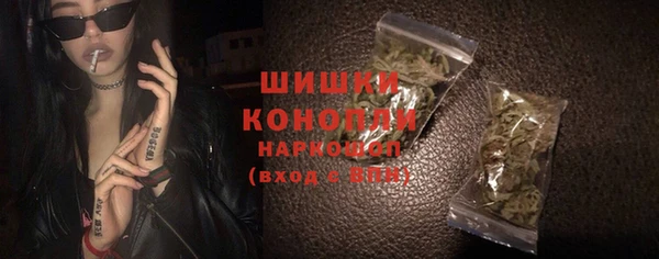 сатива Абинск