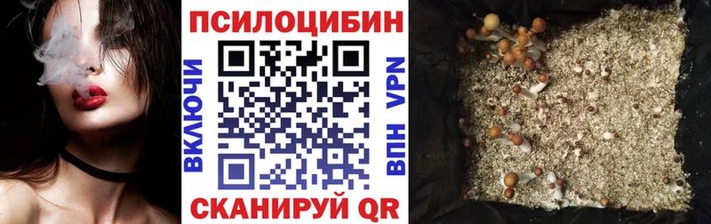 Галлюциногенные грибы Psilocybine cubensis  Элиста 